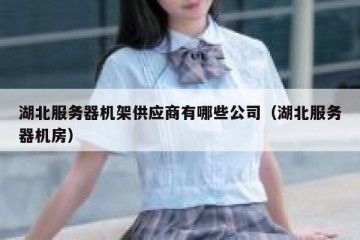 湖北服务器机架供应商有哪些公司（湖北服务器机房）