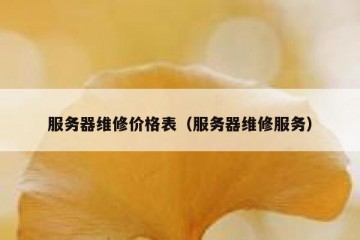 服务器维修价格表（服务器维修服务）