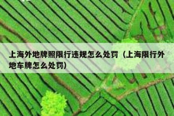 上海外地牌照限行违规怎么处罚（上海限行外地车牌怎么处罚）