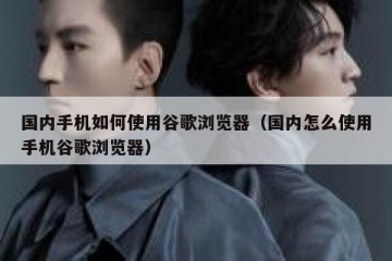 国内手机如何使用谷歌浏览器（国内怎么使用手机谷歌浏览器）