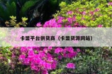 卡盟平台供货商（卡盟货源网站）