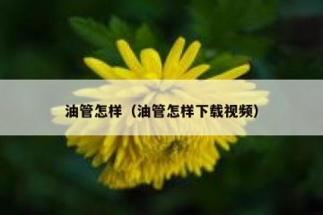 油管怎样（油管怎样下载视频）