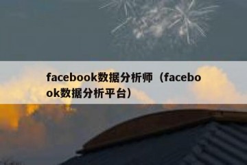 facebook数据分析师（facebook数据分析平台）