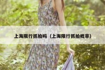上海限行抓拍吗（上海限行抓拍概率）