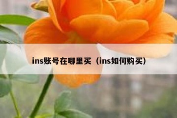 ins账号在哪里买（ins如何购买）