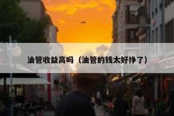 油管收益高吗（油管的钱太好挣了）
