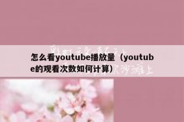 怎么看youtube播放量（youtube的观看次数如何计算）