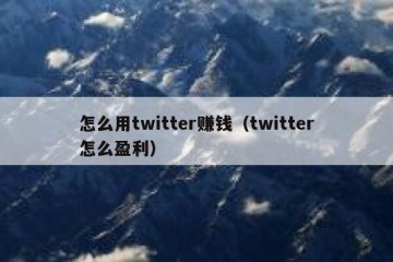 怎么用twitter赚钱（twitter怎么盈利）