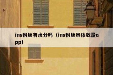 ins粉丝有水分吗（ins粉丝具体数量app）