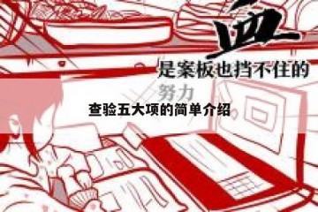 查验五大项的简单介绍