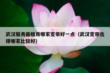 武汉服务器租用哪家宽带好一点（武汉宽带选择哪家比较好）