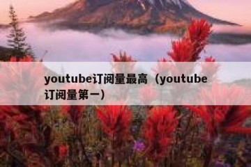 youtube订阅量最高（youtube订阅量第一）