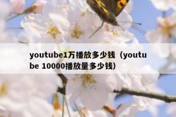 youtube1万播放多少钱（youtube 10000播放量多少钱）
