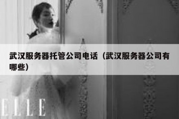 武汉服务器托管公司电话（武汉服务器公司有哪些）