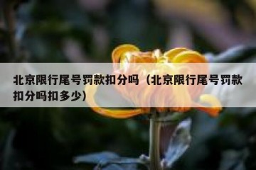 北京限行尾号罚款扣分吗（北京限行尾号罚款扣分吗扣多少）