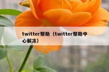 twitter帮助（twitter帮助中心解冻）