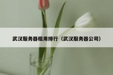 武汉服务器租用排行（武汉服务器公司）