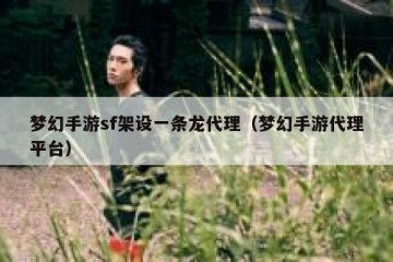 梦幻手游sf架设一条龙代理（梦幻手游代理平台）
