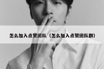 怎么加入点赞团队（怎么加入点赞团队群）