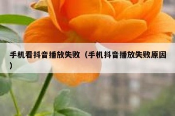 手机看抖音播放失败（手机抖音播放失败原因）