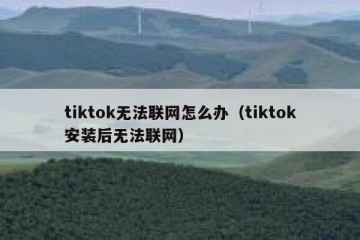 tiktok无法联网怎么办（tiktok安装后无法联网）