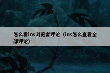 怎么看ins浏览者评论（ins怎么查看全部评论）