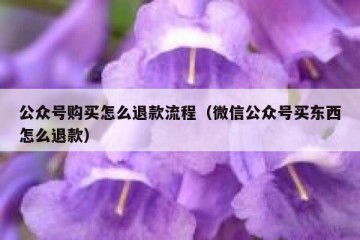 公众号购买怎么退款流程（微信公众号买东西怎么退款）