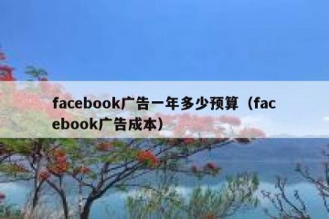 facebook广告一年多少预算（facebook广告成本）