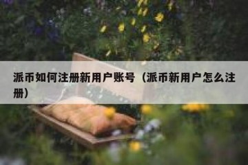 派币如何注册新用户账号（派币新用户怎么注册）