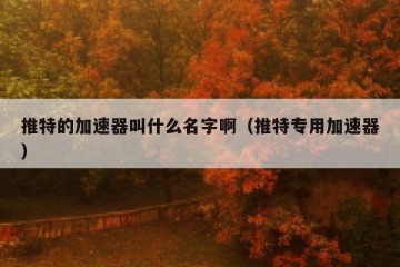 推特的加速器叫什么名字啊（推特专用加速器）