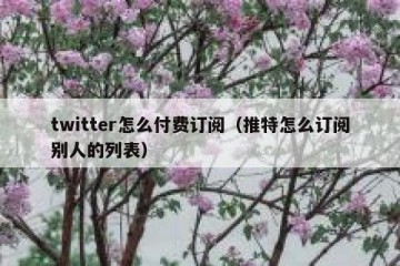 twitter怎么付费订阅（推特怎么订阅别人的列表）