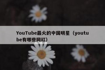 YouTube最火的中国明星（youtube有哪些网红）