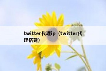 twitter代理ip（twitter代理搭建）
