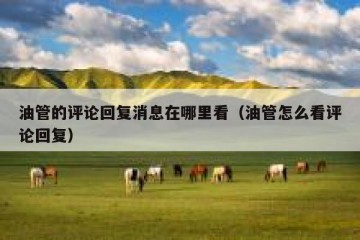 油管的评论回复消息在哪里看（油管怎么看评论回复）
