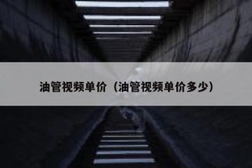 油管视频单价（油管视频单价多少）
