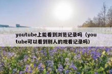 youtube上能看到浏览记录吗（youtube可以看到别人的观看记录吗）