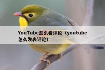 YouTube怎么看评论（youtube怎么发表评论）