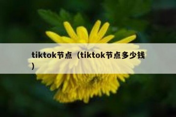 tiktok节点（tiktok节点多少钱）