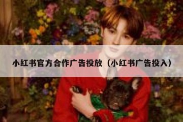 小红书官方合作广告投放（小红书广告投入）