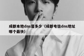 成都本地dns是多少（成都电信dns地址哪个最快）