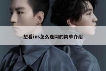 想看ins怎么连网的简单介绍