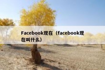 Facebook现在（facebook现在叫什么）