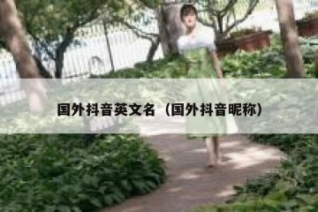 国外抖音英文名（国外抖音昵称）