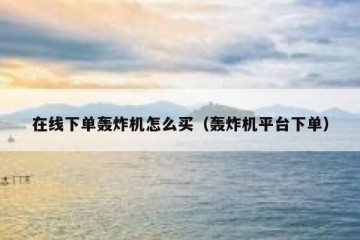 在线下单轰炸机怎么买（轰炸机平台下单）