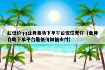 超低价qq业务自助下单平台微信支付（业务自助下单平台最低价微信支付）