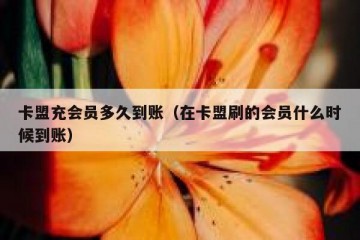 卡盟充会员多久到账（在卡盟刷的会员什么时候到账）
