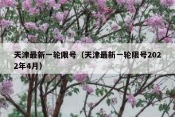 天津最新一轮限号（天津最新一轮限号2022年4月）
