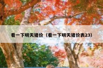 看一下明天猪价（看一下明天猪价表23）