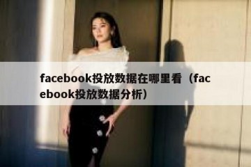 facebook投放数据在哪里看（facebook投放数据分析）