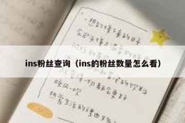 ins粉丝查询（ins的粉丝数量怎么看）